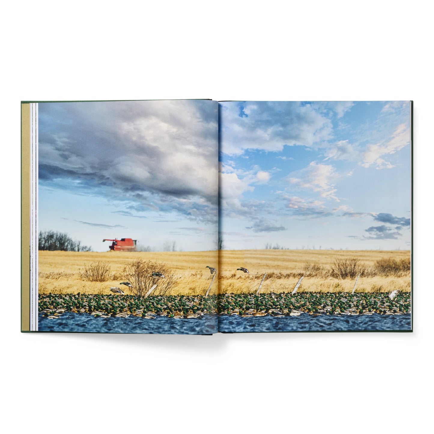 Ducks Coffee Table Book - US 5762